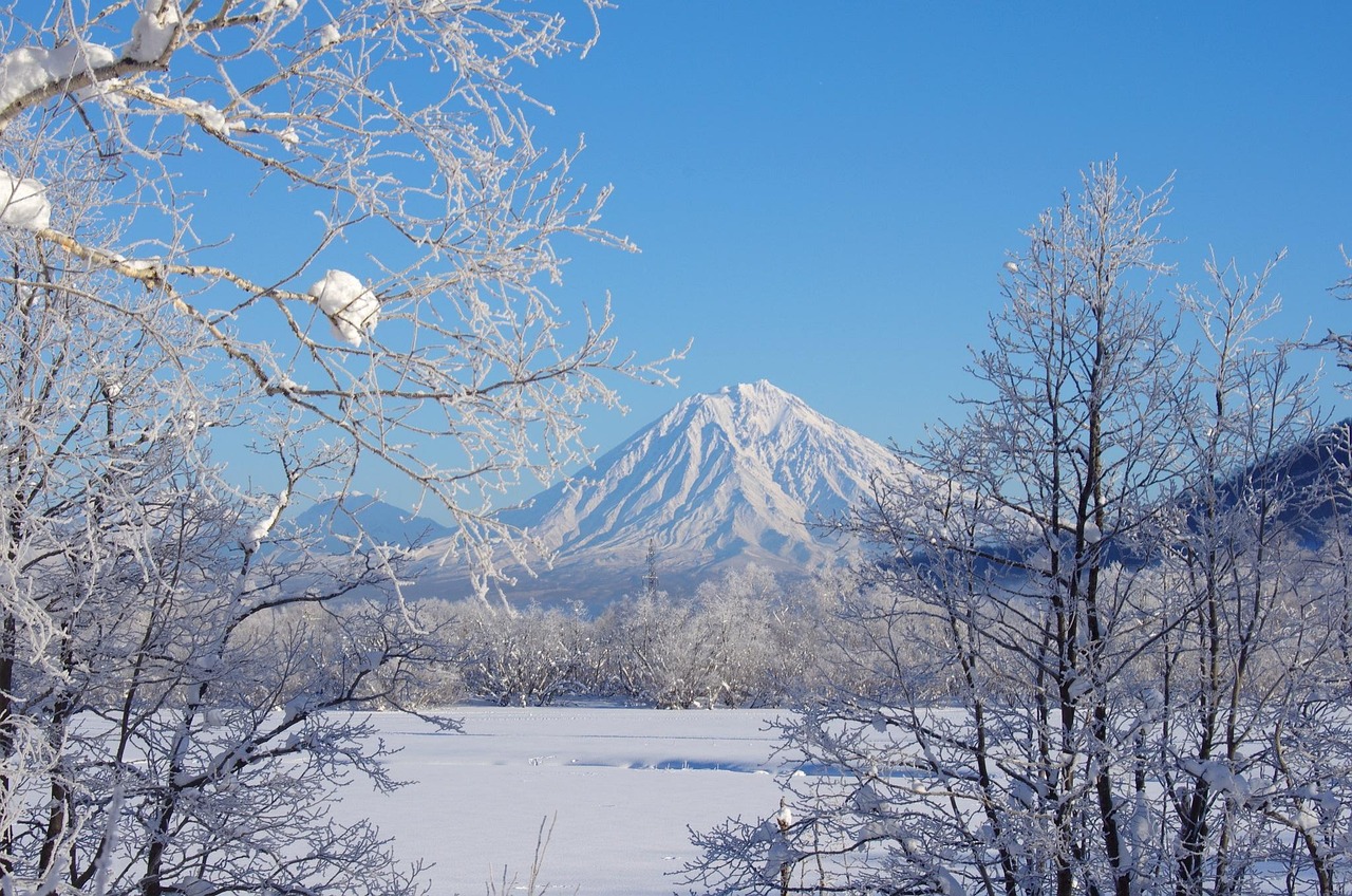 哈尔滨大雪预警/哈尔滨大雪天气 哈尔滨大雪预警/哈尔滨大雪天气