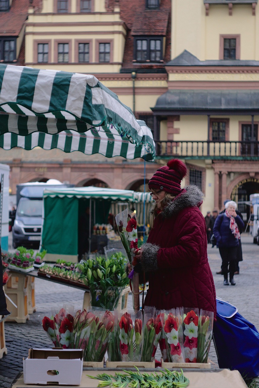 郑州南阳路有建材市场么 [南阳路建材市场的位置]