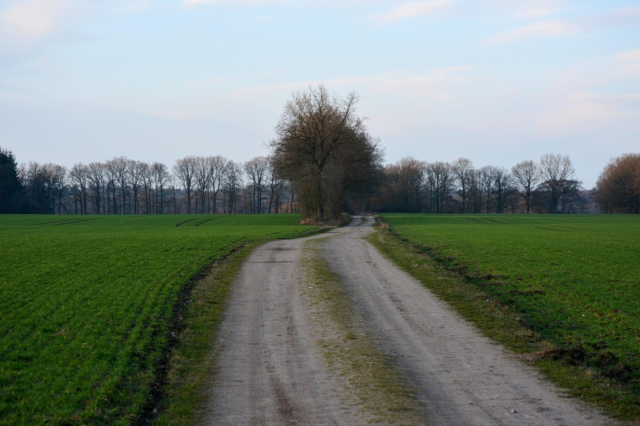 沭阳大地保险在哪里!沭阳大地保险在哪里买