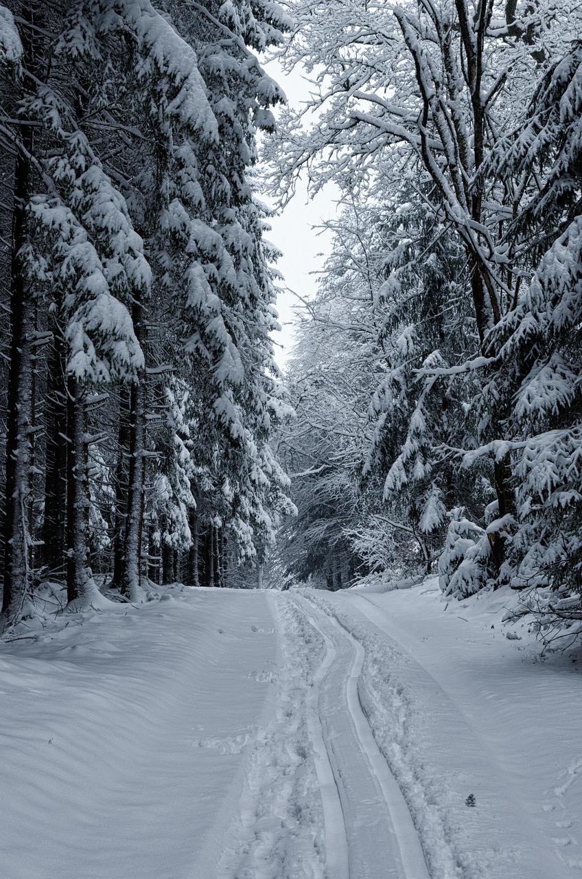 老边沟风景区天气?老边沟风景区天气情况 老边沟风景区天气?老边沟风景区天气情况