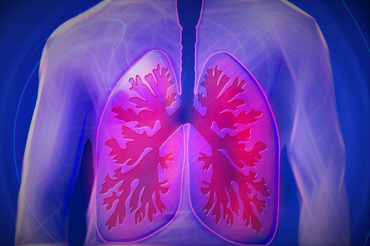 健康卫视谈肺炎,健康之路2020视频大全肺 健康卫视谈肺炎,健康之路2020视频大全肺