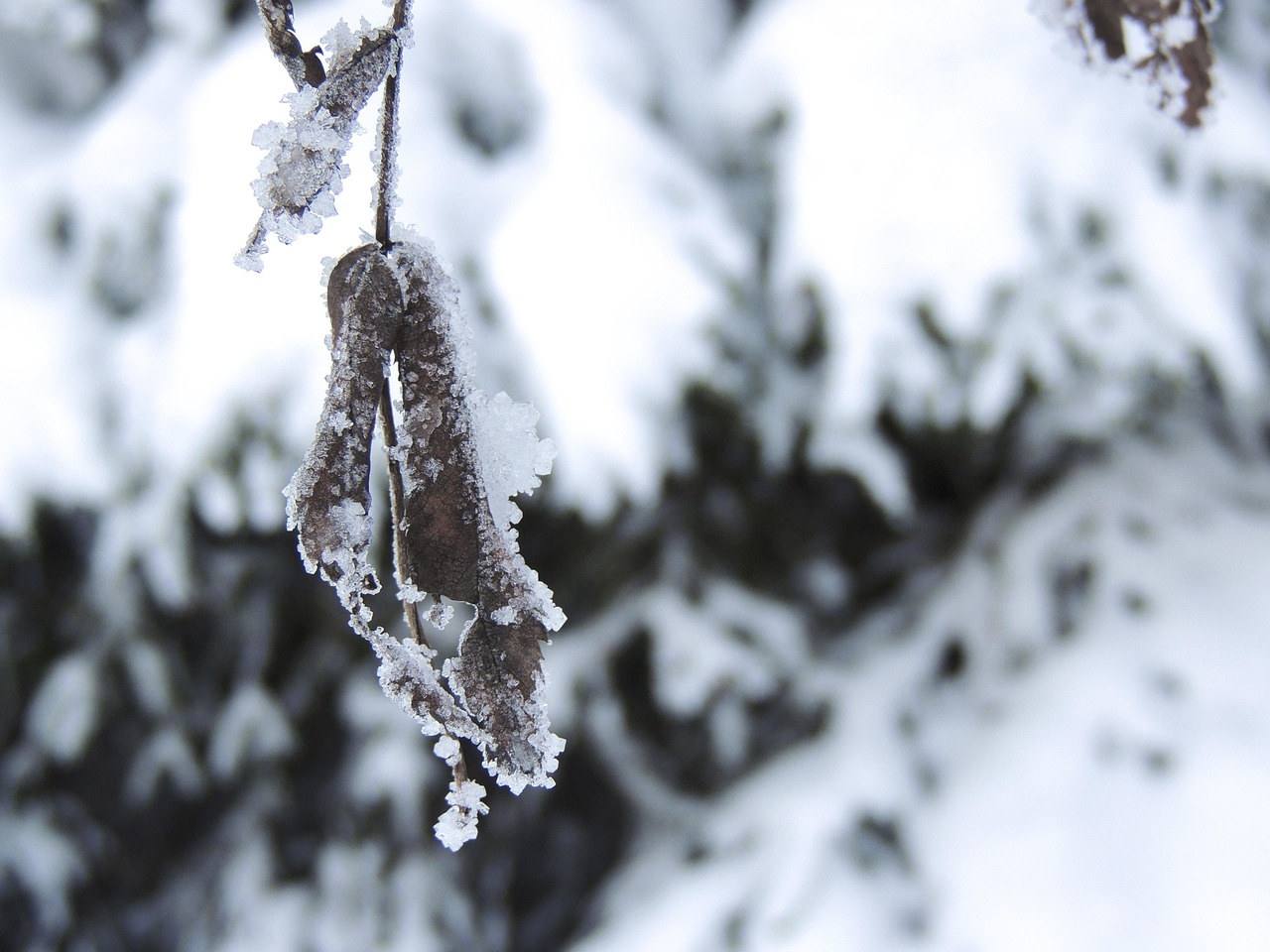 局地大雪大暴雪将至,准备好了吗? 局地大雪大暴雪将至,准备好了吗?