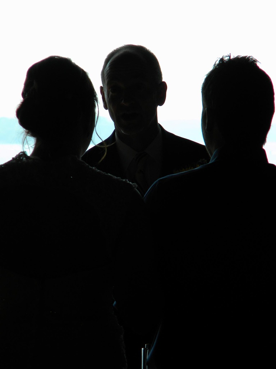 新人拍婚纱照遭遇黑天鹅抢新娘,一场意外的浪漫奇遇 新人拍婚纱照遭遇黑天鹅抢新娘,一场意外的浪漫奇遇