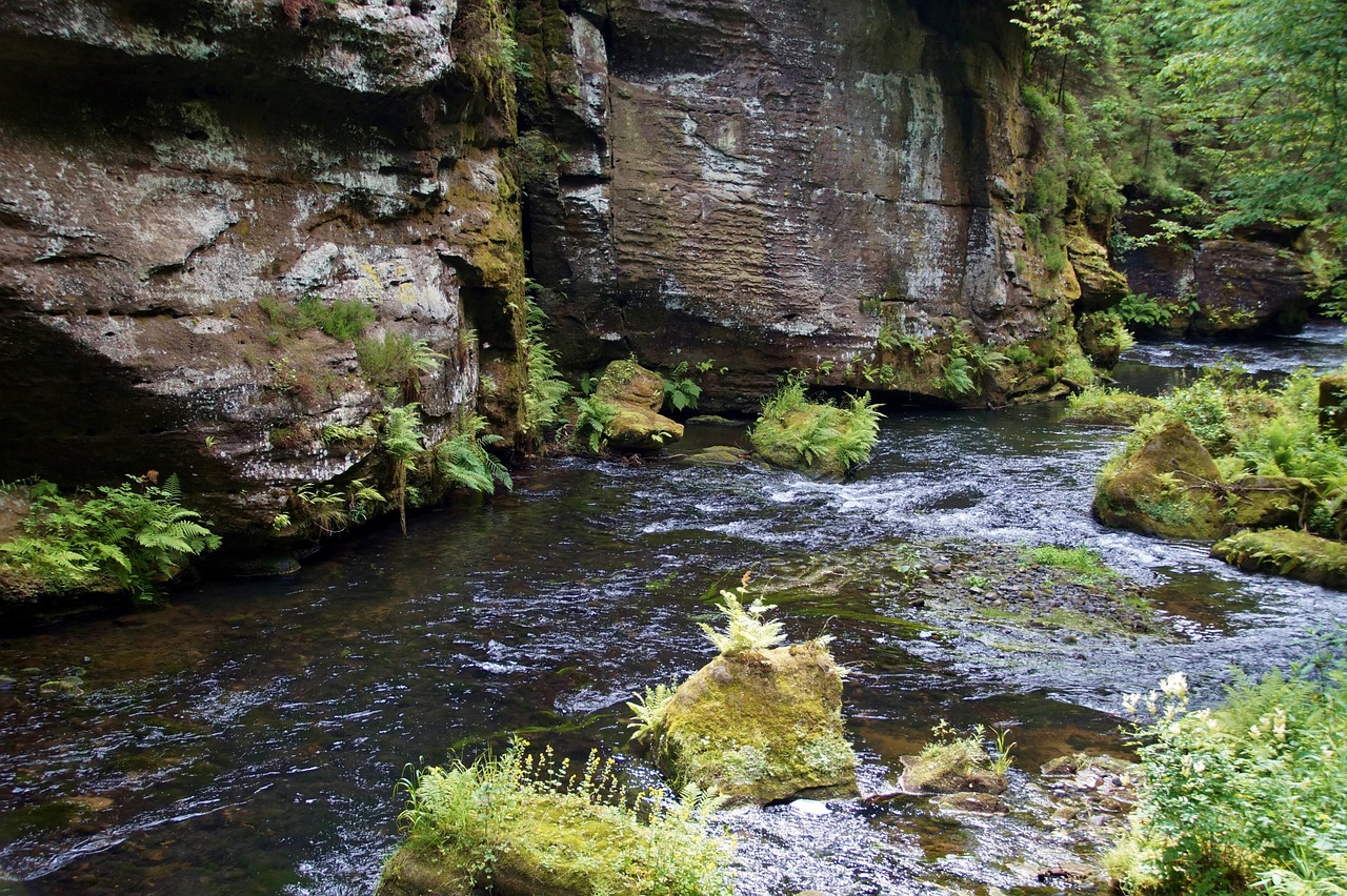 自驾游碧峰峡旅游攻略两日游!自驾游碧峰峡旅游攻略两日游多少钱 自驾游碧峰峡旅游攻略两日游!自驾游碧峰峡旅游攻略两日游多少钱