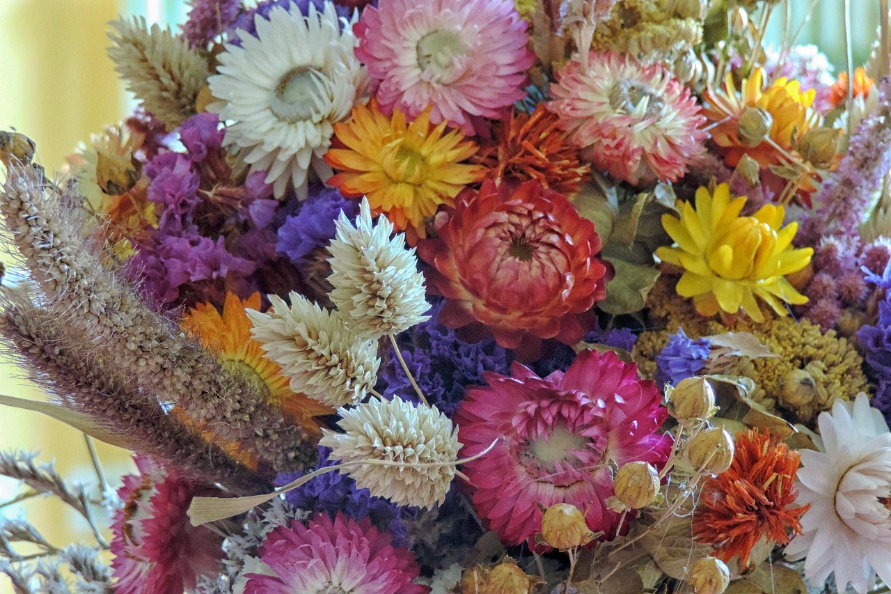 河南花卉风景视频大全,绽放的色彩与自然的交响 河南花卉风景视频大全,绽放的色彩与自然的交响