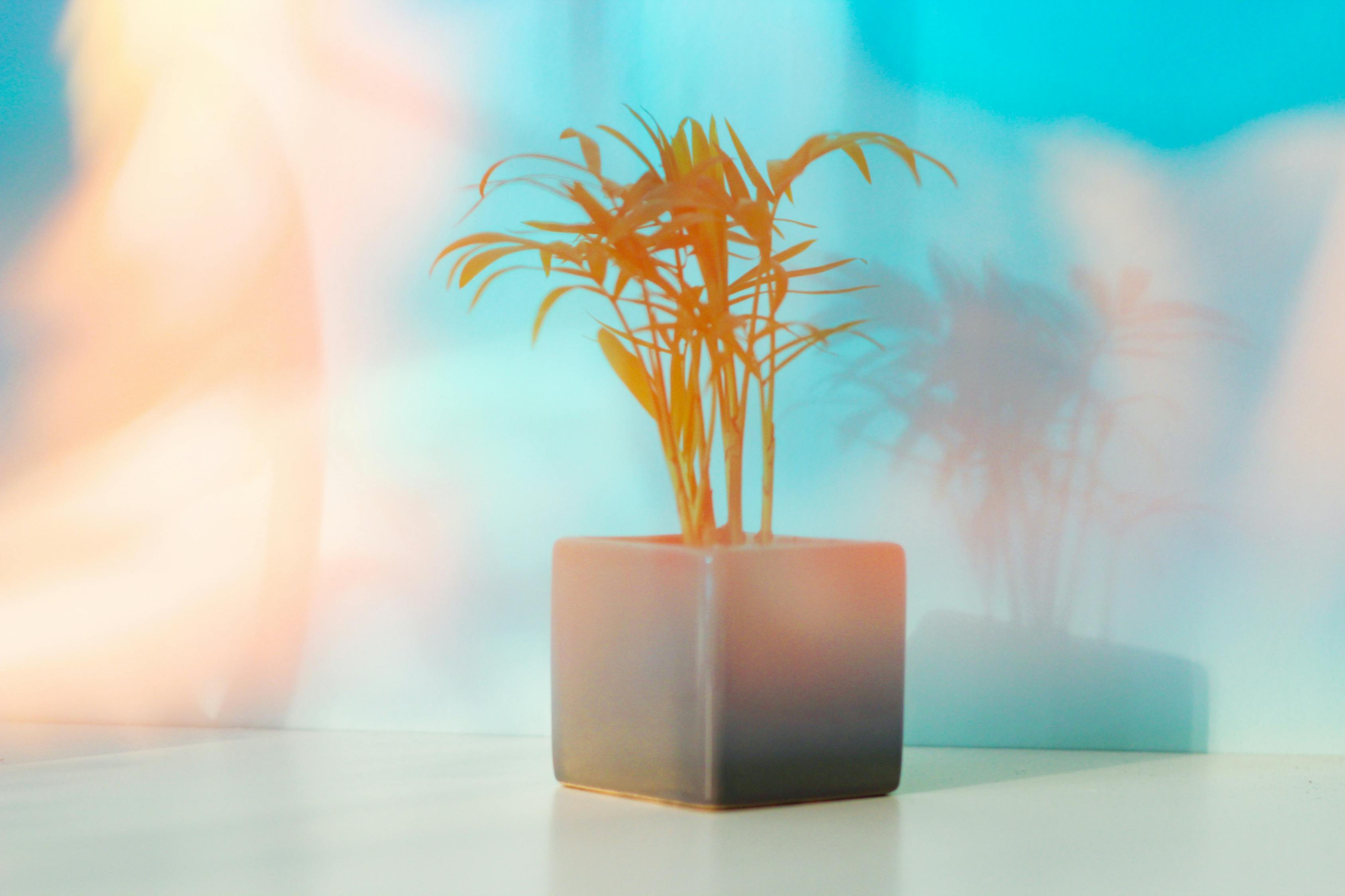 创造健康教育环境!创造健康教育环境的好处 创造健康教育环境!创造健康教育环境的好处