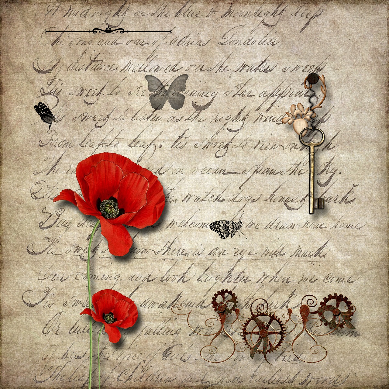 形容健康美丽的字,描绘生命之美的艺术 形容健康美丽的字,描绘生命之美的艺术