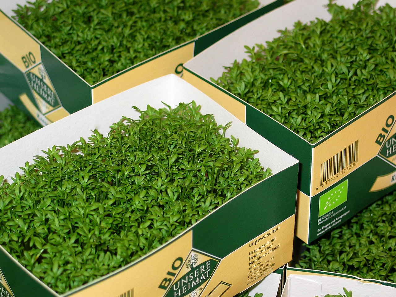 烟台海阳健康产业/海阳康养产业 烟台海阳健康产业/海阳康养产业