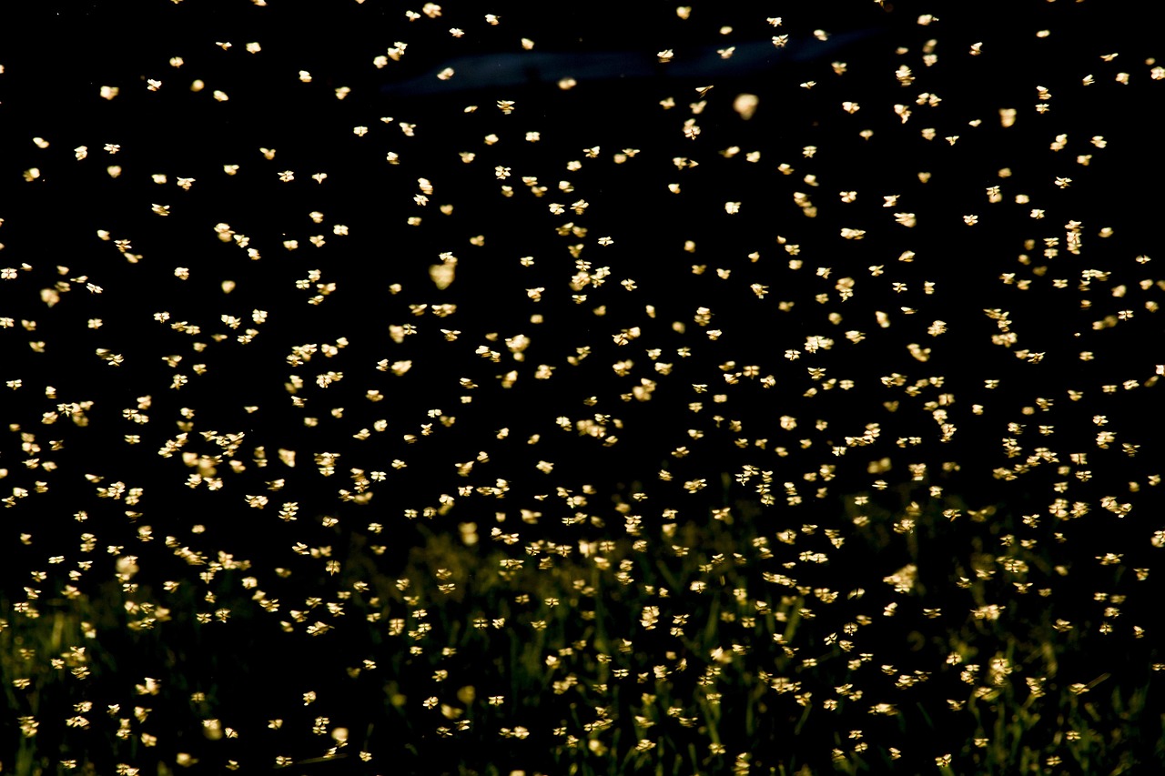 阿尔法为什么要比围棋,人工智能的深度探索与未来展望 阿尔法为什么要比围棋,人工智能的深度探索与未来展望