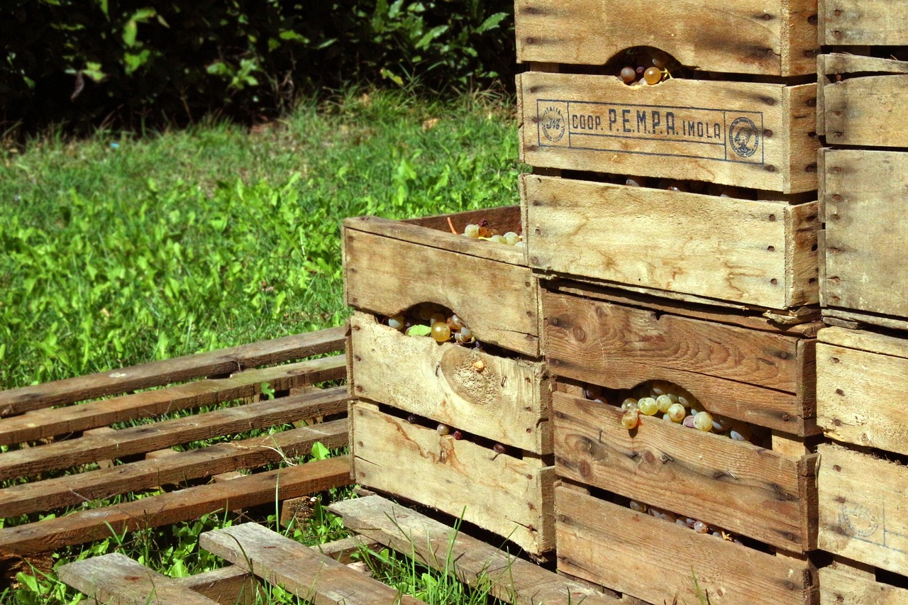 红酒箱子改造绿植的方法?红酒盒改造复古木箱 红酒箱子改造绿植的方法?红酒盒改造复古木箱