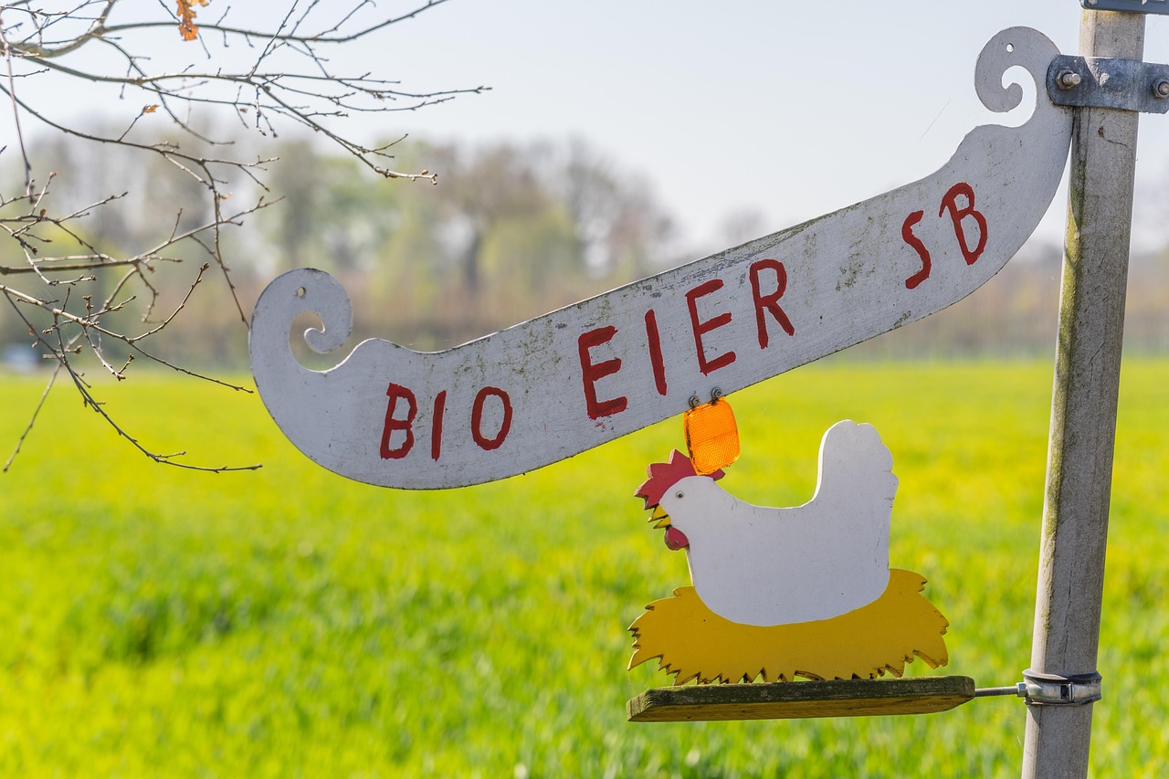 深圳健康产品公司?深圳健康产品公司招聘