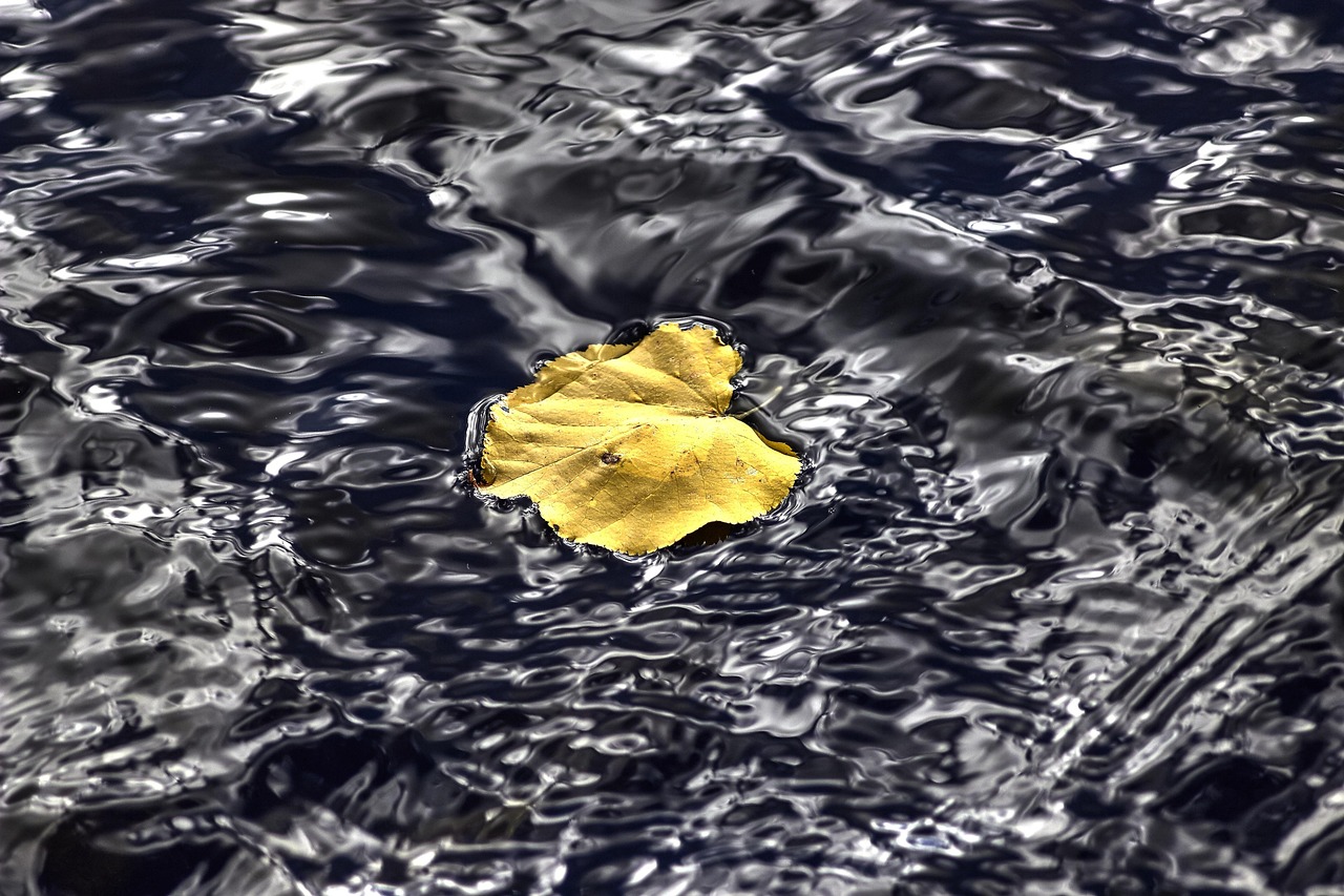 俄勇士飞行表演队炫特技“落叶飘”!