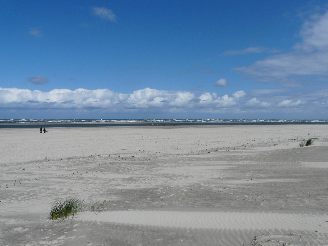 台湾远海渔业气象下预 [台湾海峡远海渔业天气预报]