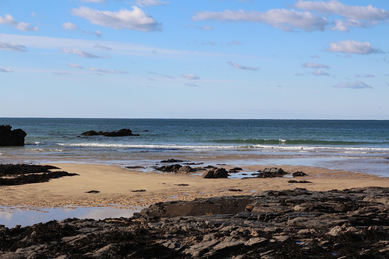 台湾远海渔业气象下预 [台湾海峡远海渔业天气预报]