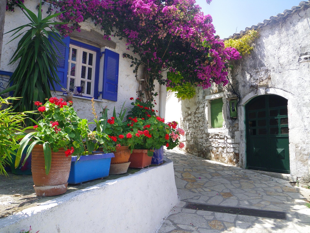 花卉采购中心!花卉采购中心官网