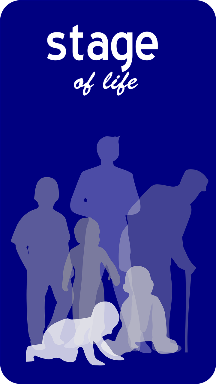 解锁健康新生活，长轻健康调理体验营的深度探索