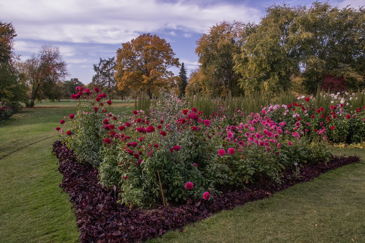 大理花园园艺师,大理园艺园林招聘