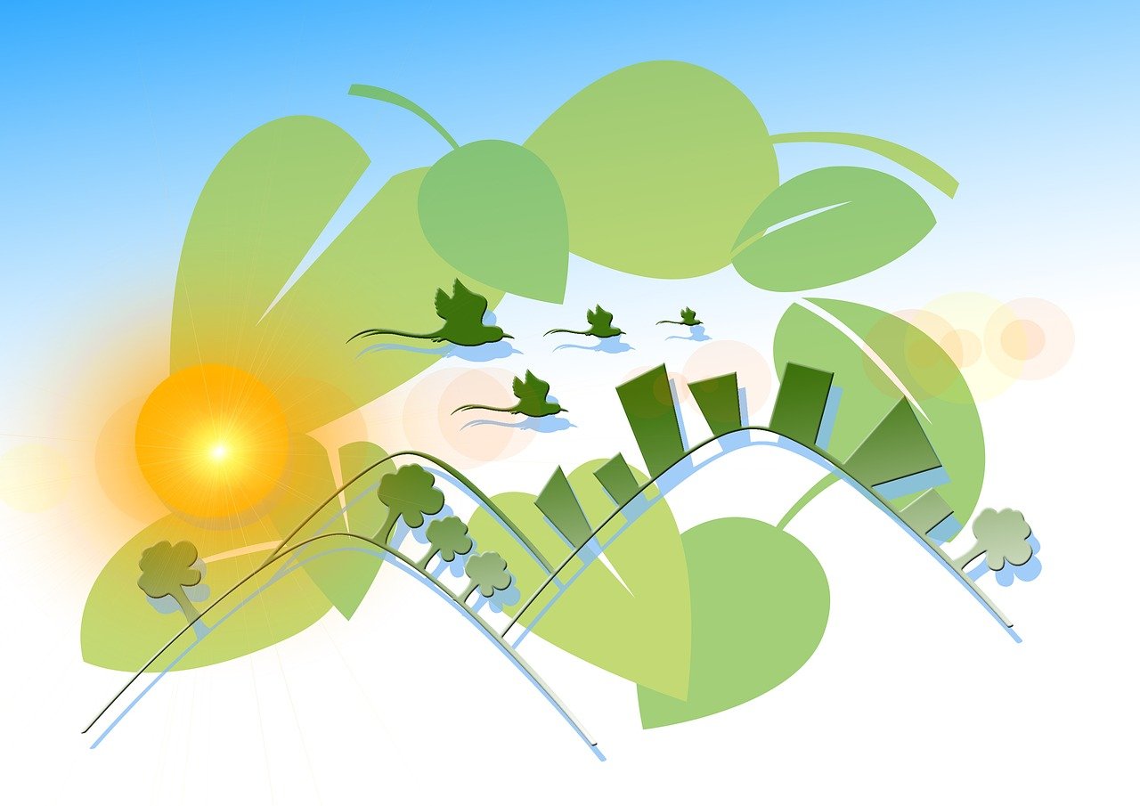 环境的健康效应!环境的健康效应有哪些