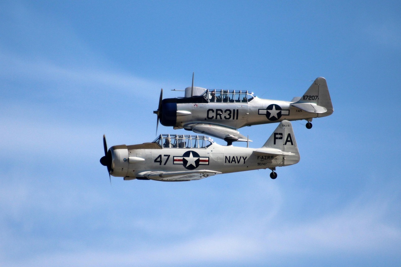 印航空难唯一幸存者无法与妻儿说话 [印度空难视频]