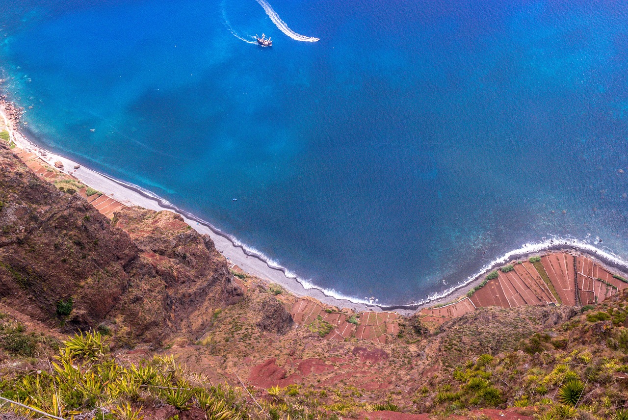 白山市健康码/吉林省白山市健康码