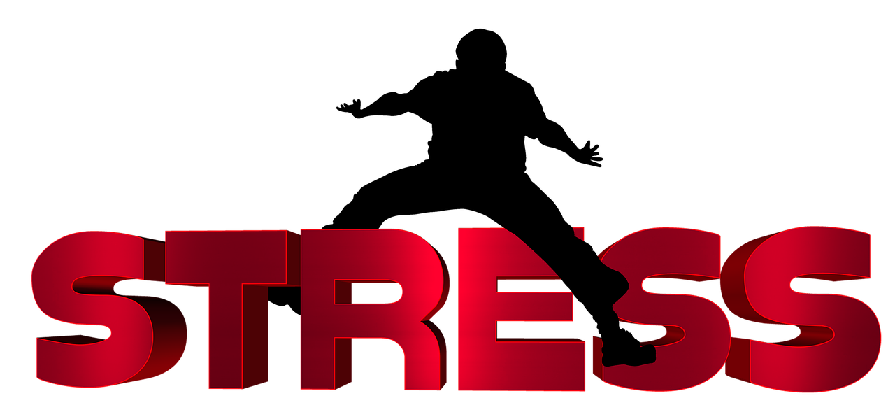 保险和理财哪个工作好/保险和理财哪个工作好一点