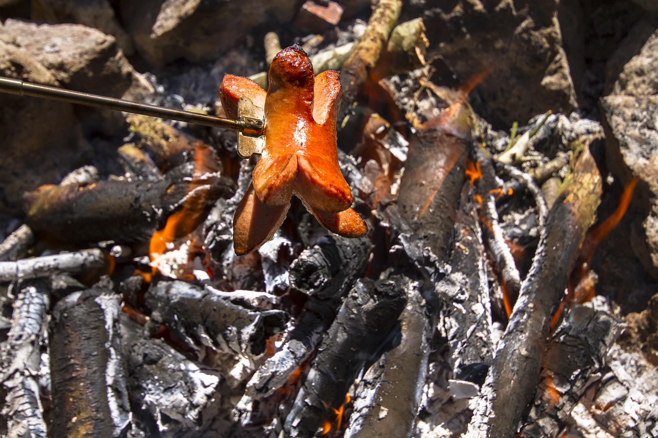 太空烧烤“滋滋冒油”馋坏全球网友/ 太空烧烤“滋滋冒油”馋坏全球网友/