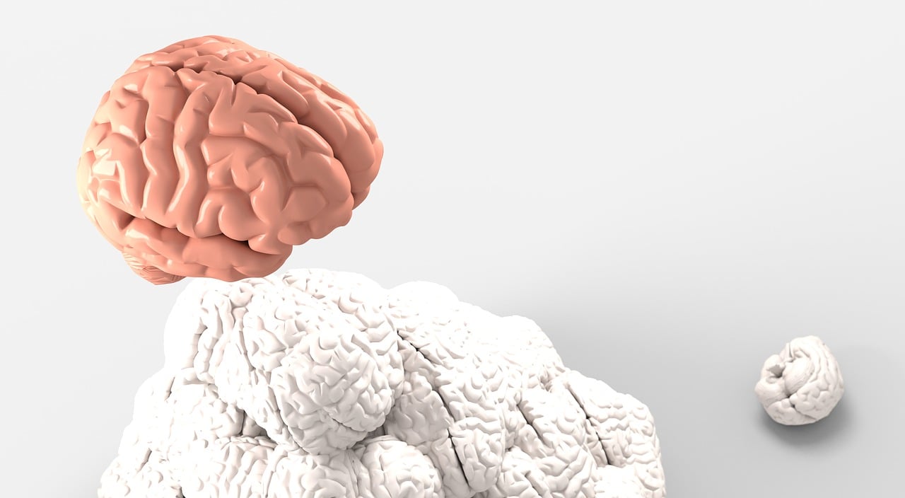 脑干出血健康教育,脑干出血护理 脑干出血健康教育,脑干出血护理