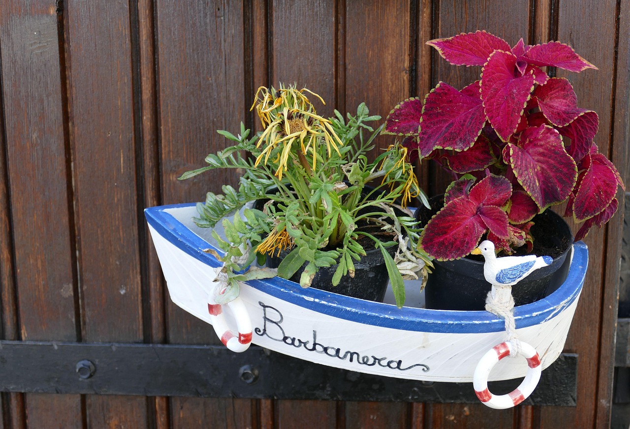 花卉布置室内!花卉布置方案 花卉布置室内!花卉布置方案