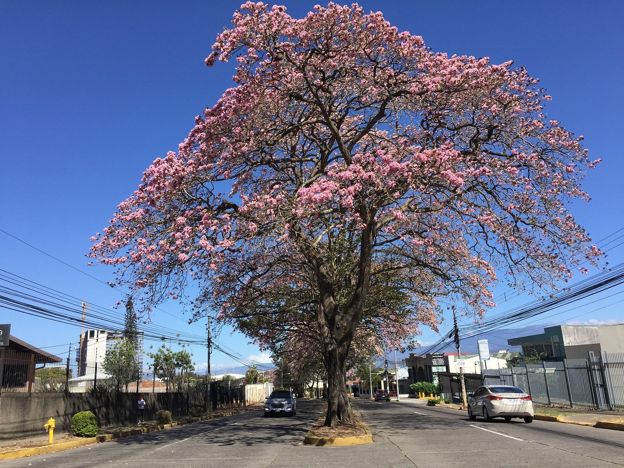 吉林省集安市，自然与文化的交响乐章