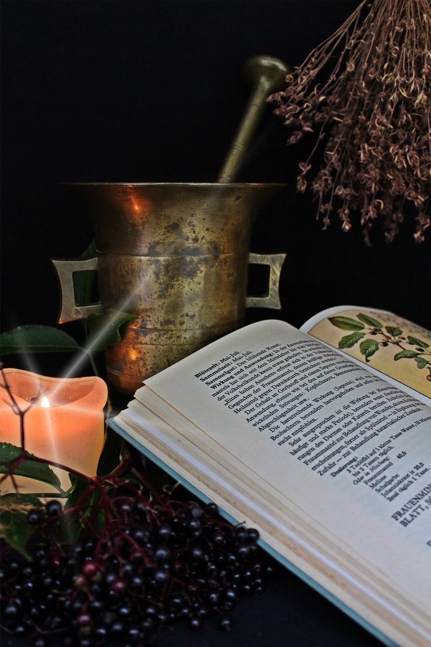 引导健康观念,塑造积极、可持续的生活方式 引导健康观念,塑造积极、可持续的生活方式