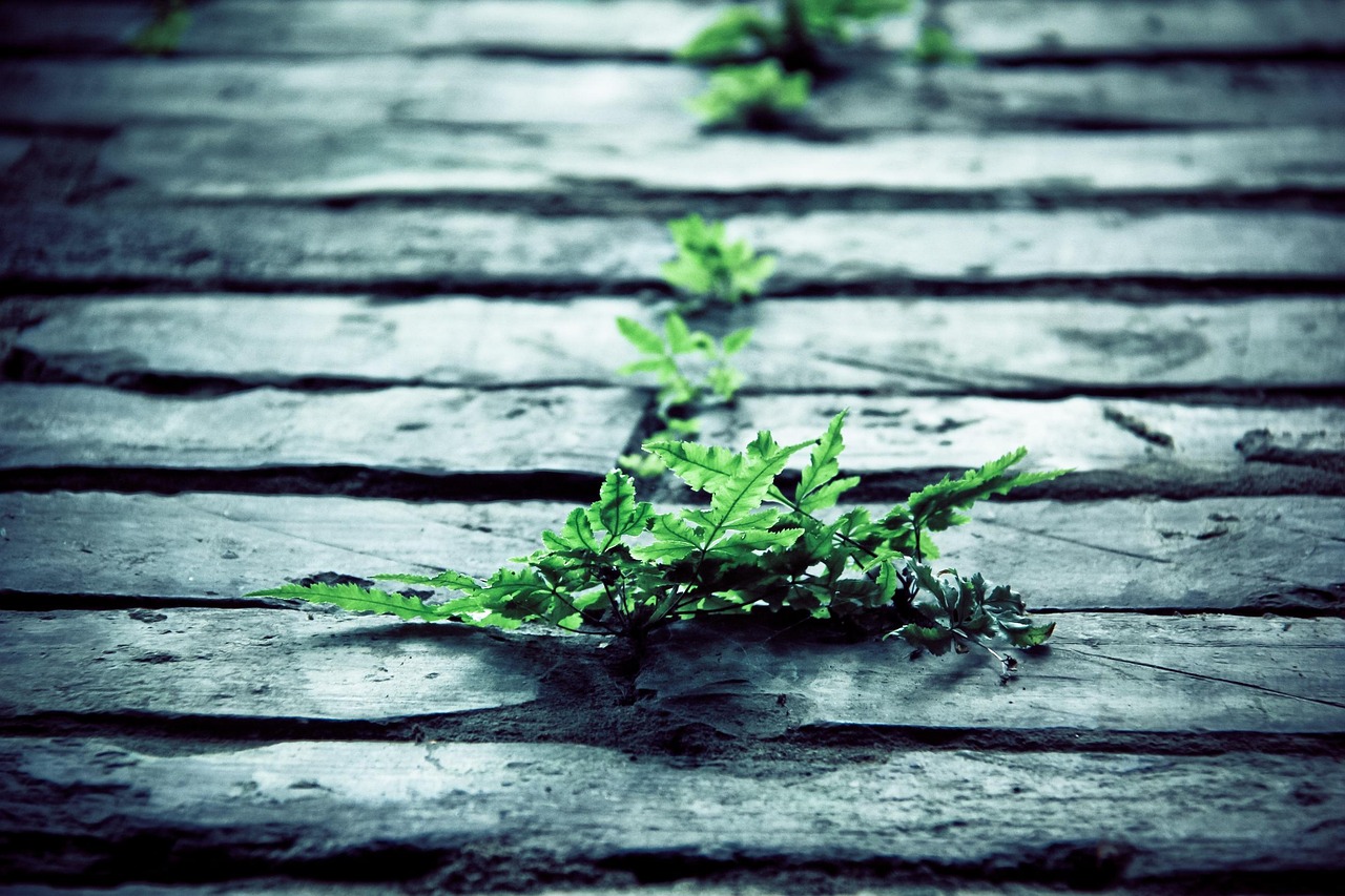 探秘新能源,美术作品中的绿色革命 探秘新能源,美术作品中的绿色革命