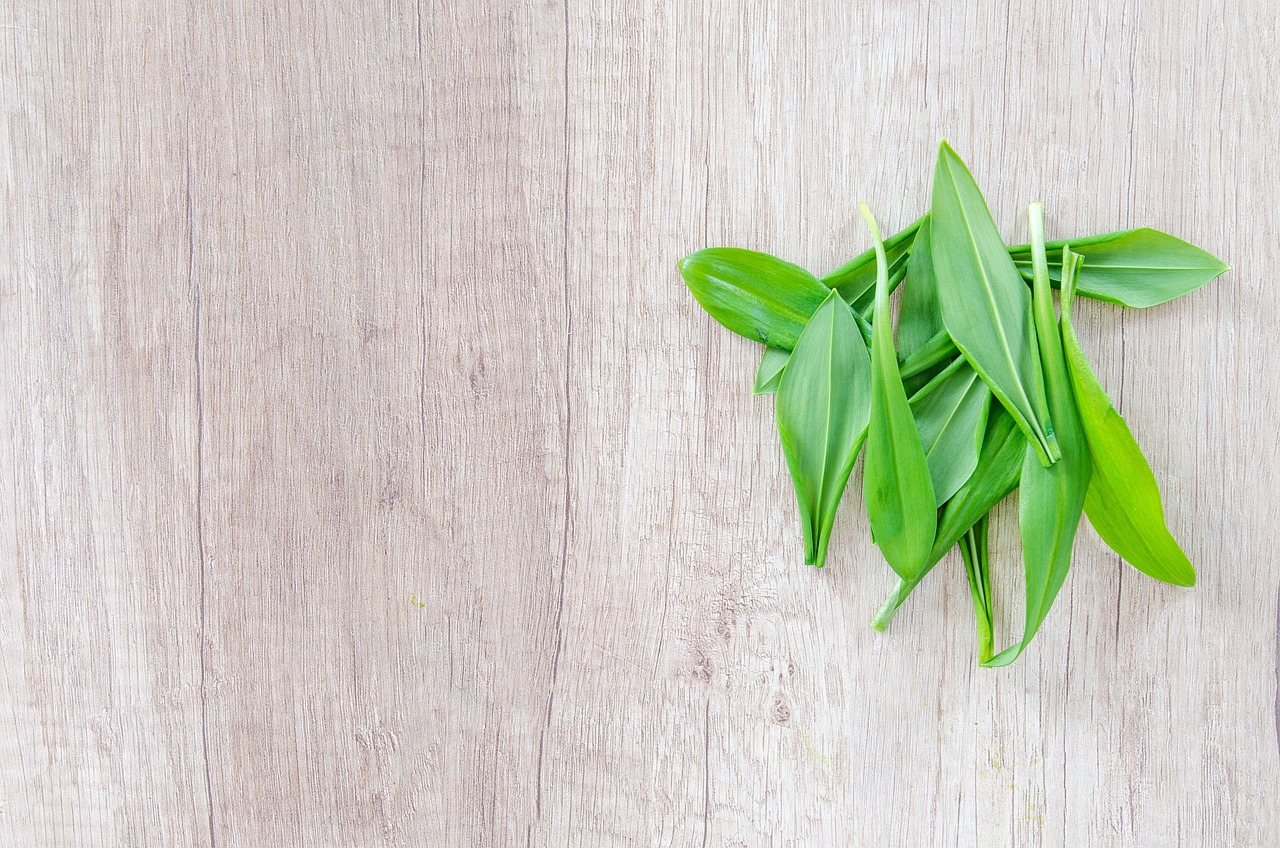 健康养生怎么形容!形容健康养生的词汇