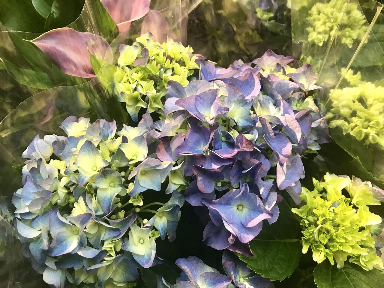 古驰口红208，花卉之美的时尚演绎