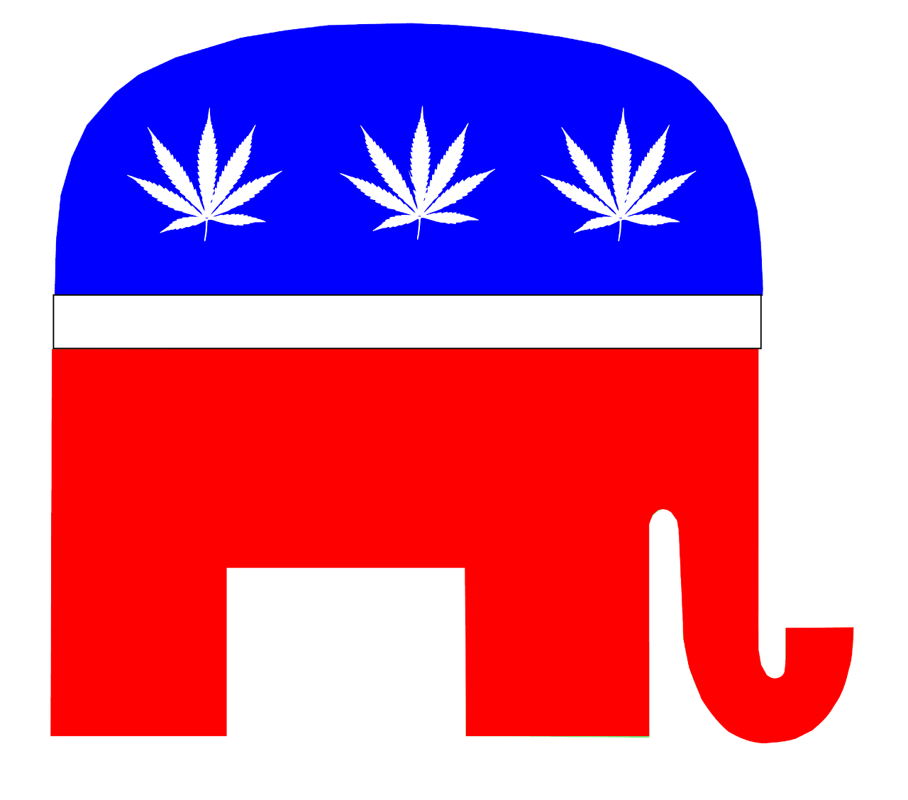 药品健康标识r [药品标识图片大全]