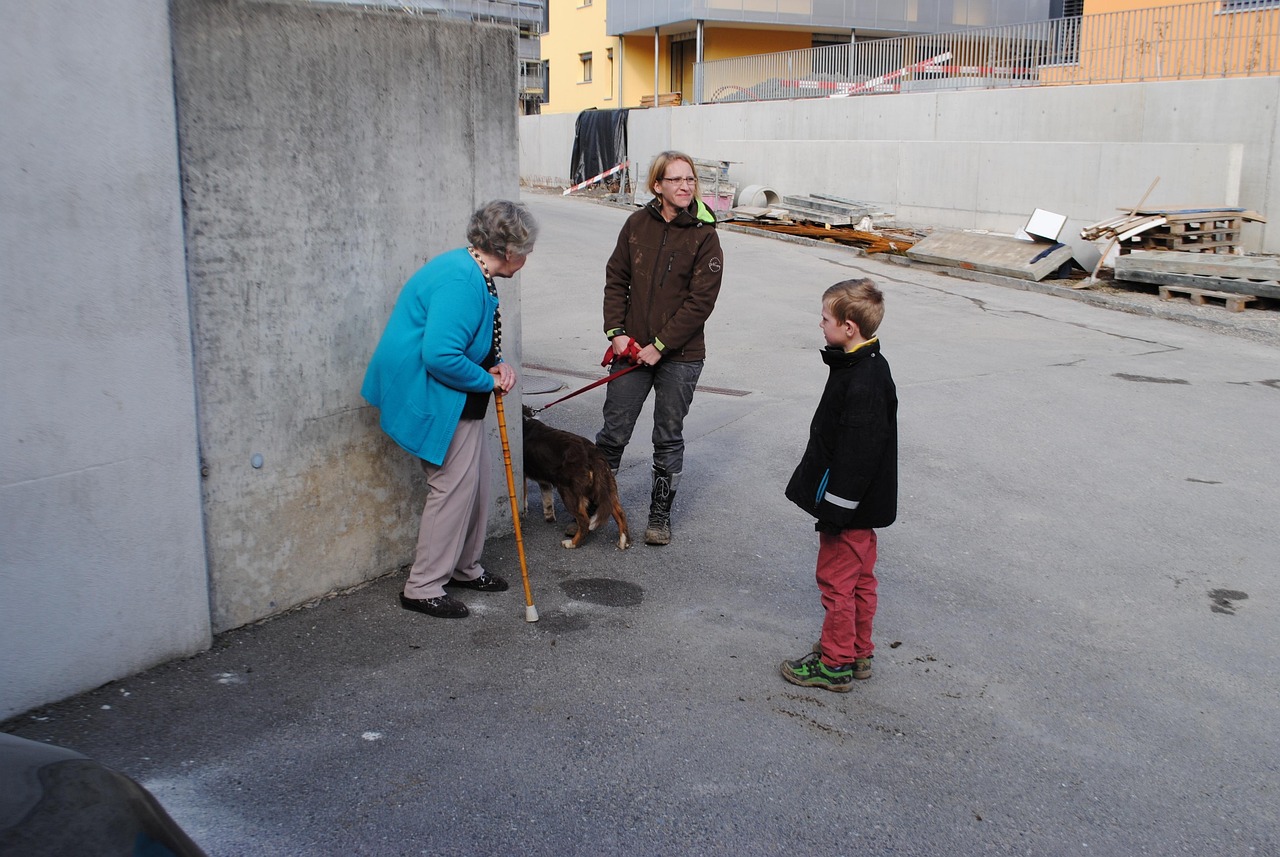 临渭区雨露社区跑保险?临渭区桥南镇雨露社区