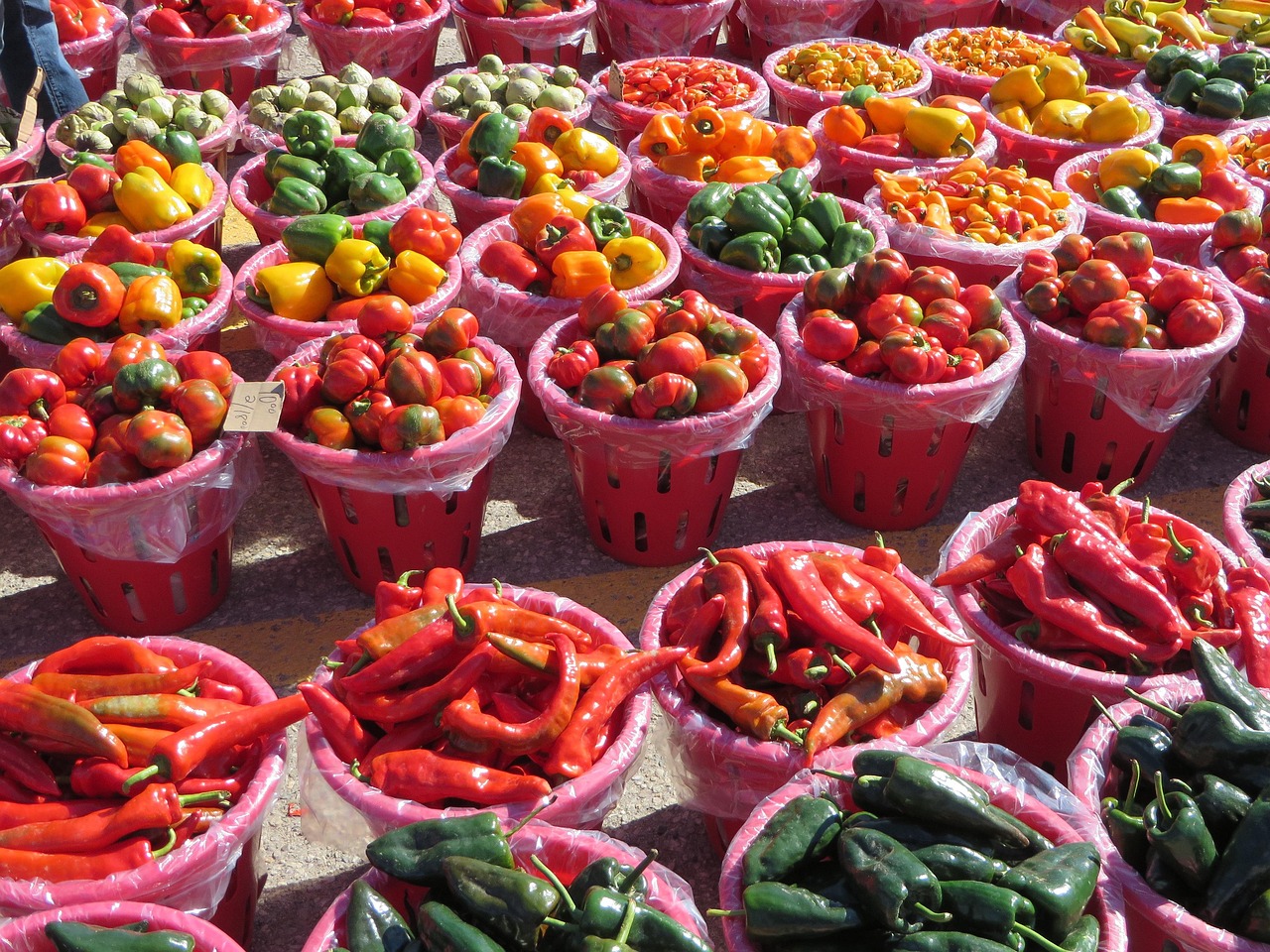 “陕西咸阳千亩辣椒免费摘”不实/