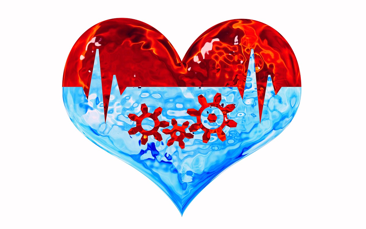 心脏健康管理手环推荐/心脏健康 手环