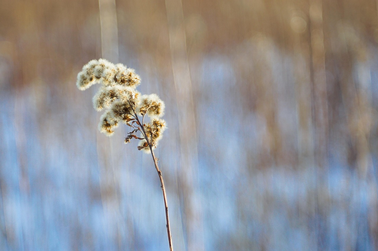 中学生心理健康论文怎么 [中学生心理健康论文怎么写]
