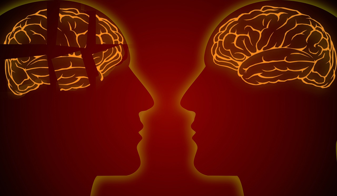 偏激心理疾病的探索与理解 偏激心理疾病的探索与理解