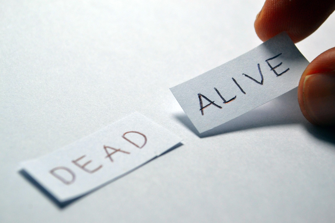 失业保险是多久 [失业保险是多久交一次]