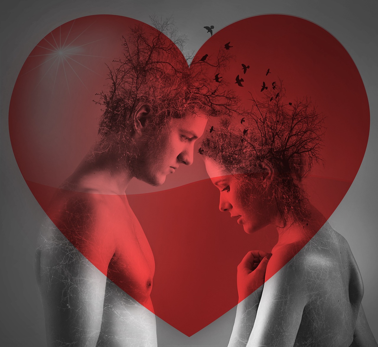 加拿大炮王 [加拿大炮王2.0说的是谁的故事]