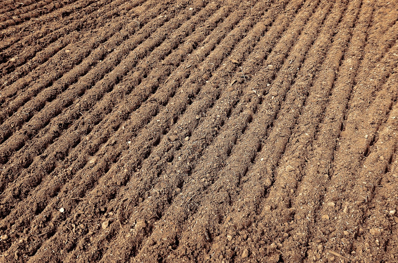 连云港花卉肥料供应商电话 [连云港化肥厂排行]
