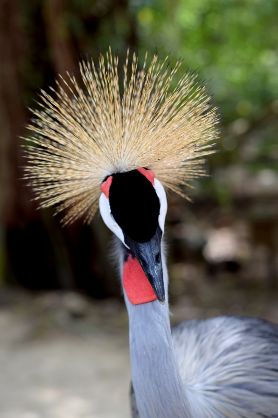 买观赏鱼收到1袋水 商家：烫熟分解了!观赏鱼买来过水