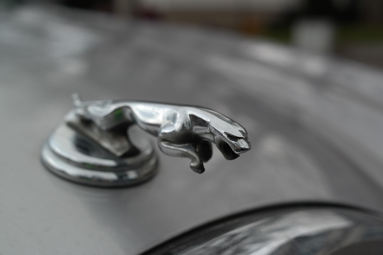 桑塔纳后保险杠图片?桑塔纳后保险杠是什么材质