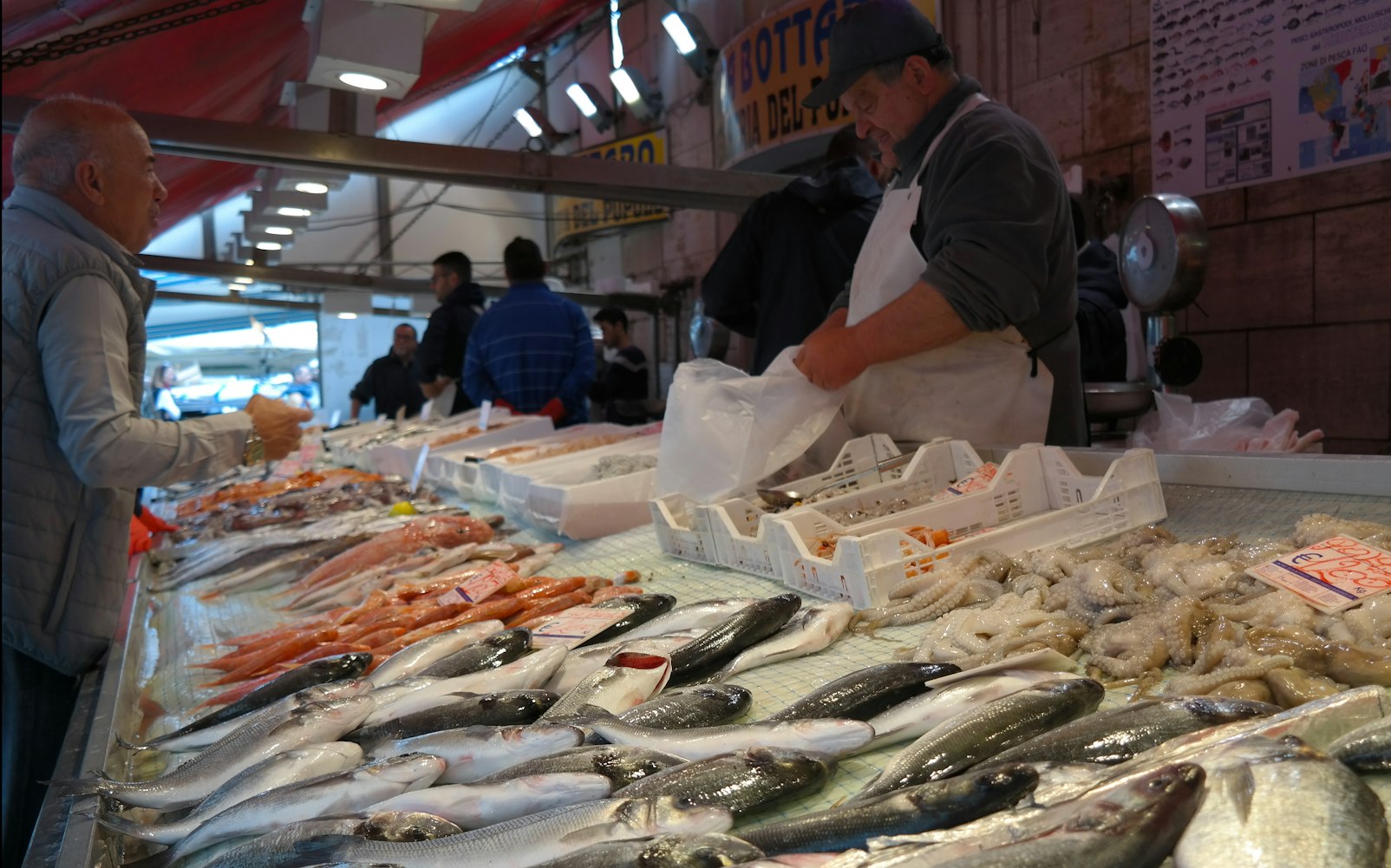 肇庆日丰建材市场,肇庆日丰玉石交易市场 肇庆日丰建材市场,肇庆日丰玉石交易市场