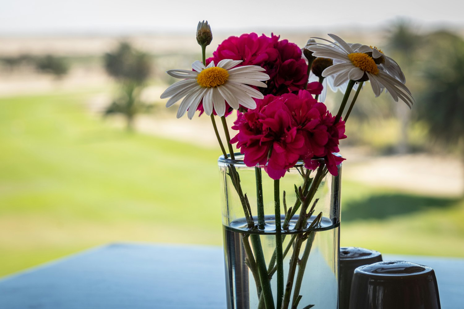 明插花卉?明代插花艺术有哪些特点 明插花卉?明代插花艺术有哪些特点