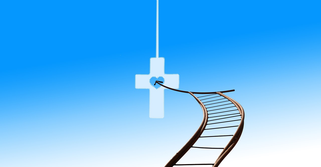 返回舱成功着陆 神二十乘组状态良好!返回舱着陆姿态