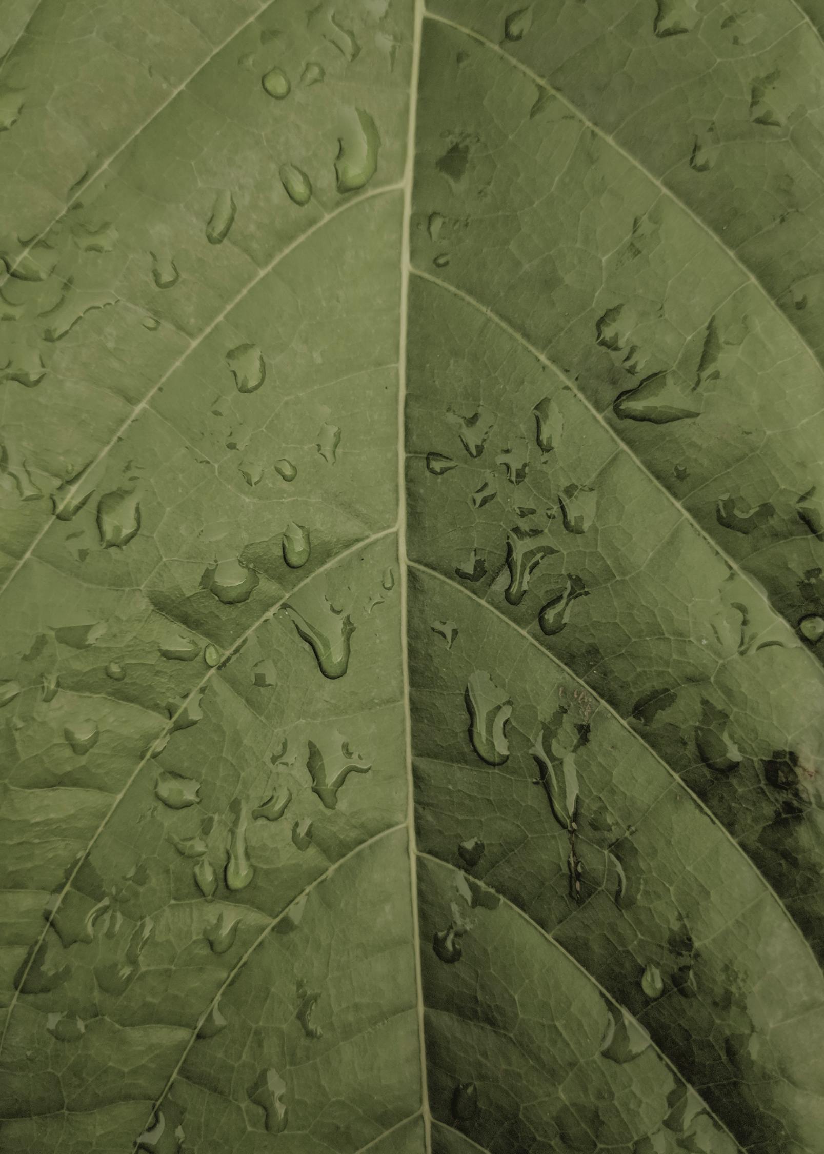 玻璃,绿色建材的璀璨之选 玻璃,绿色建材的璀璨之选