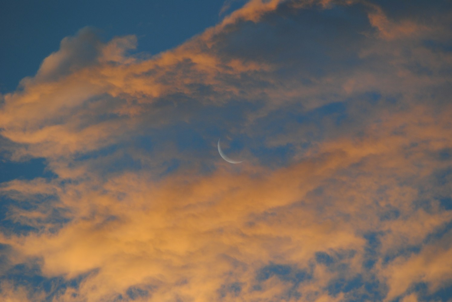 临沂近半月的天气,临沂近半月天气? 临沂近半月的天气,临沂近半月天气?
