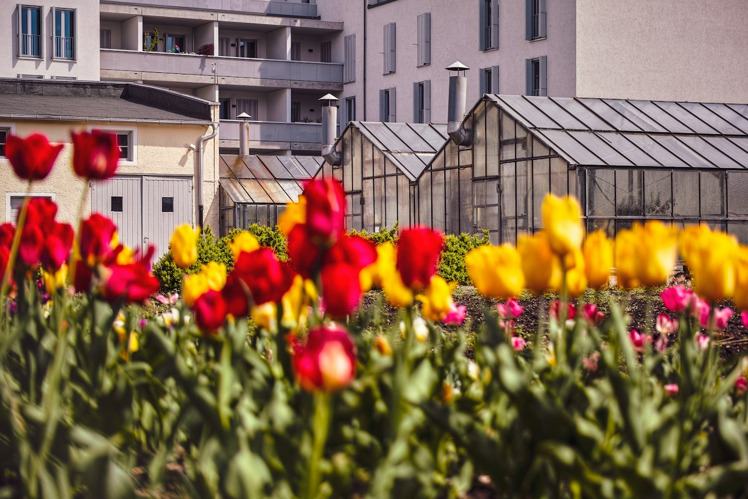 广东苗木花卉有机肥/花卉有机肥价格 广东苗木花卉有机肥/花卉有机肥价格